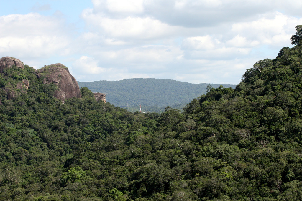 Kaludiya Pokuna Forest