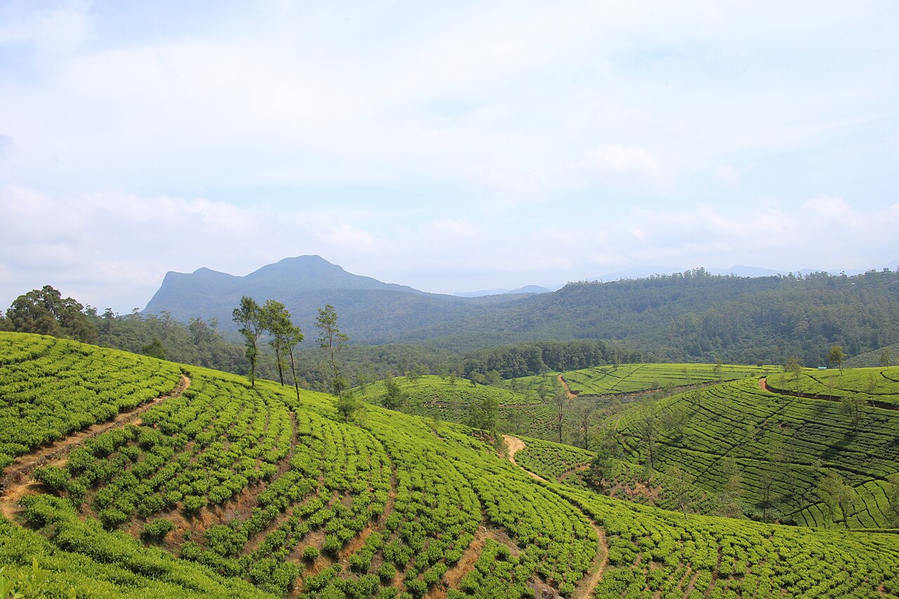 Nuwara Eliya
