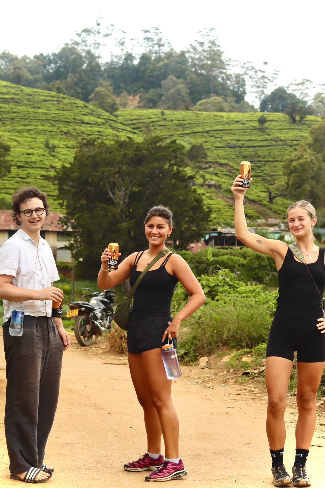 A Journey Through Nuwara Eliya's Highlands